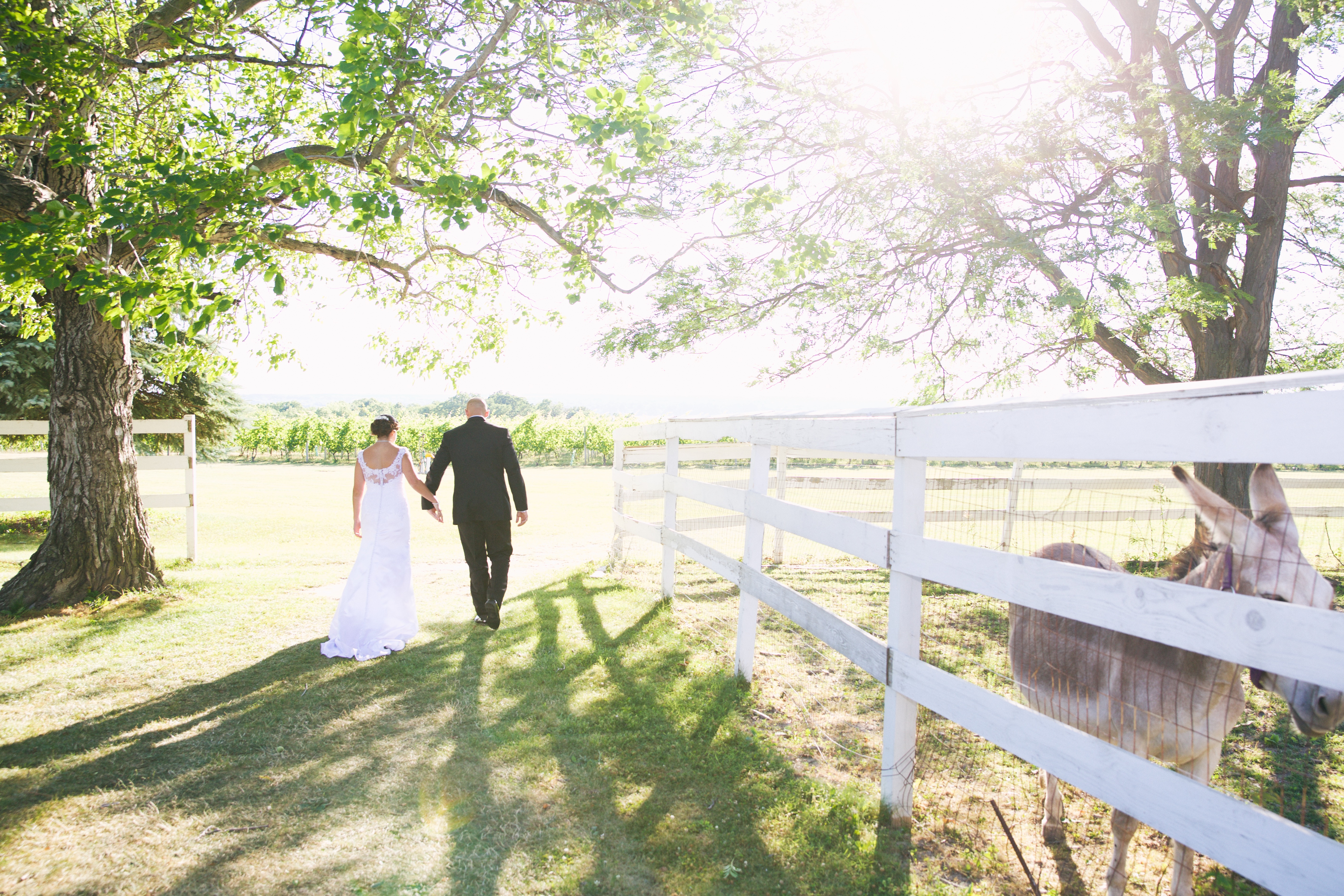 Ventosa Vineyards Finger Lakes Wedding Photographer B.Fotographic 066