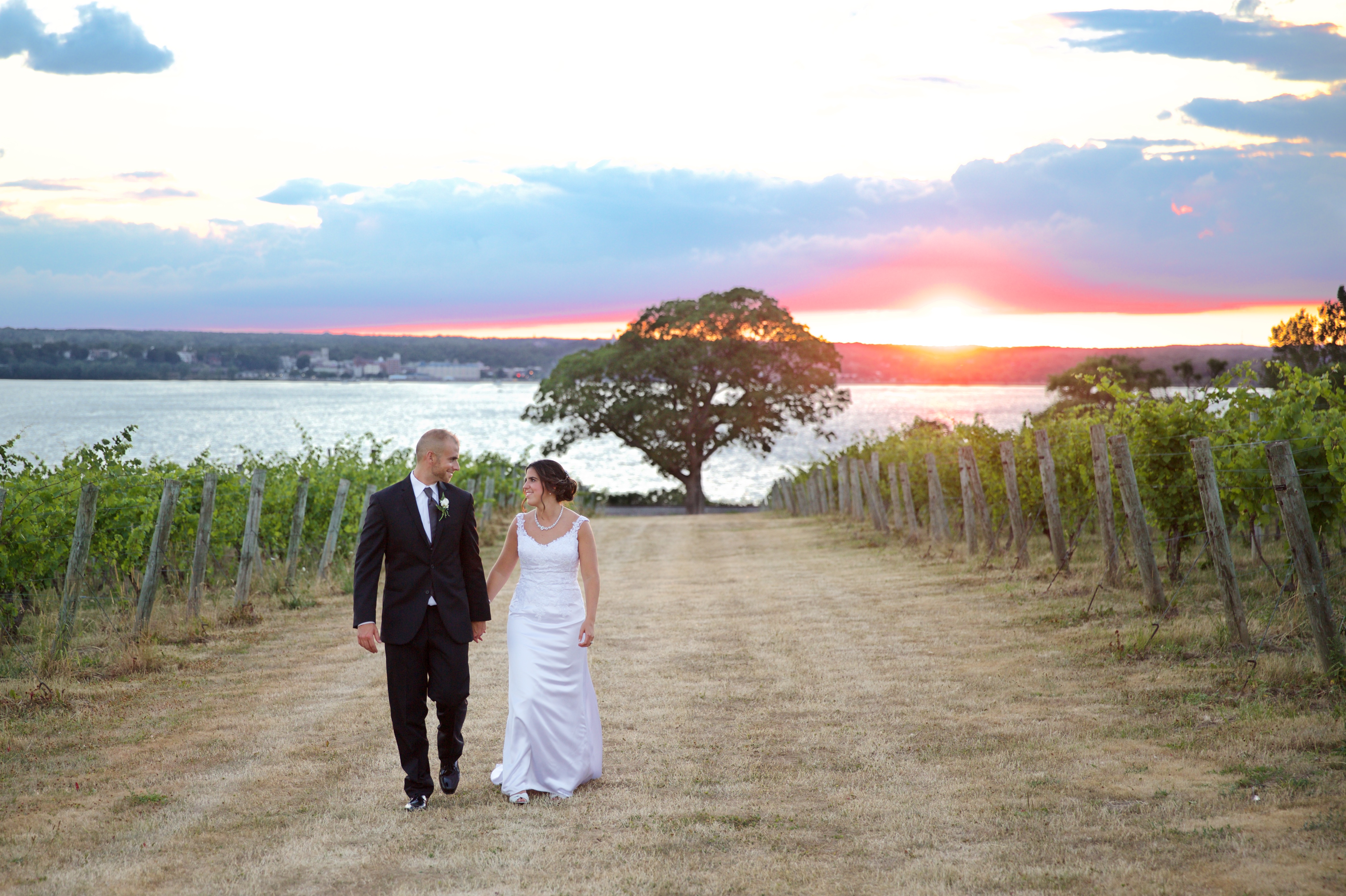Ventosa Vineyards Finger Lakes Wedding Photographer B.Fotographic 085