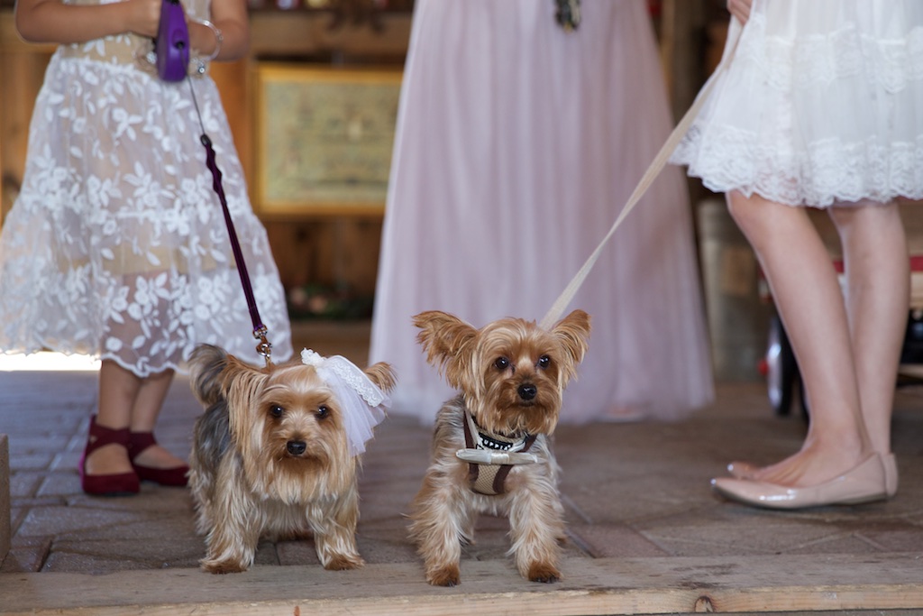 Chantelle Marie Lakehouse Auburn Wedding Photography 149.jpg