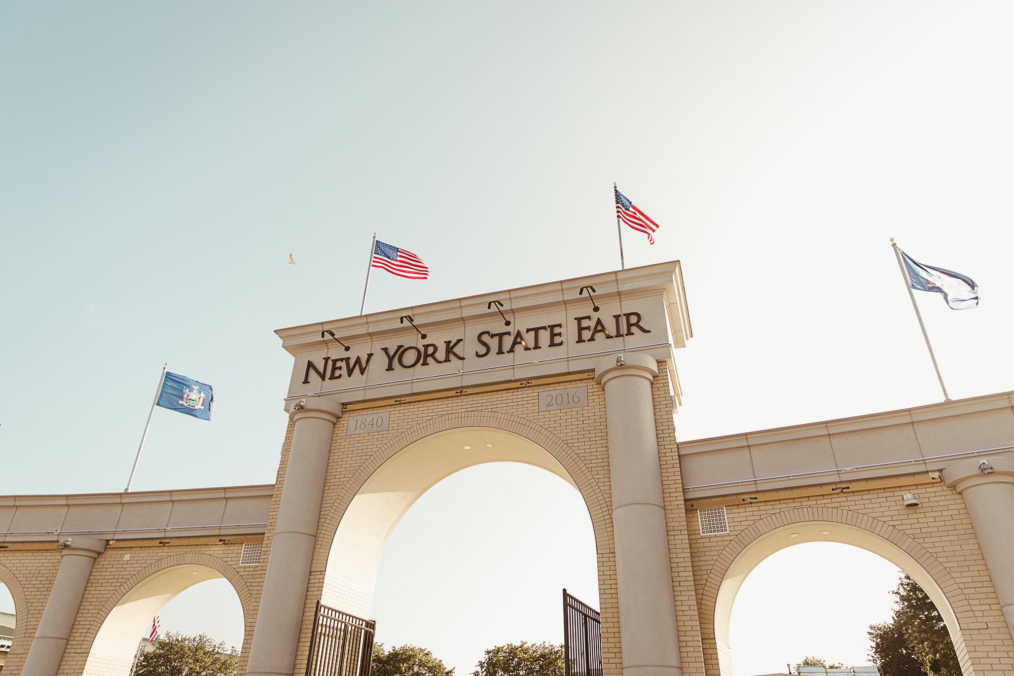 New York State Fair Engagement by Bridget Marie1