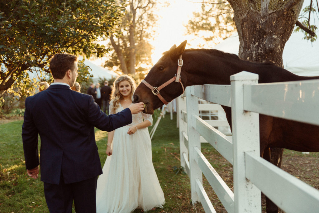 A groom in a blue suit, feeds an apple to a horse as the bride watches and laughs. The horse stands behind a white fence which surrounds the venue or John Joseph Inn in the Finger Lakes of NY