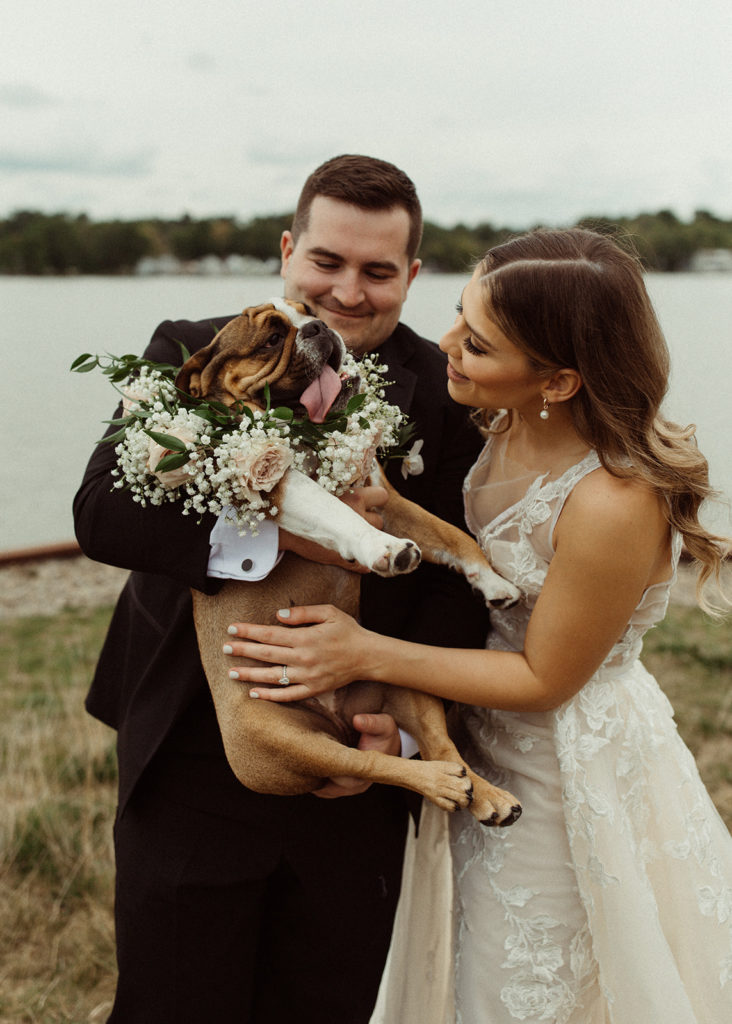 Couple includes their dog in their wedding ceremony for a unique take on a flower girl. The bulldog wears a babies breath and rose flower crown on her neck.